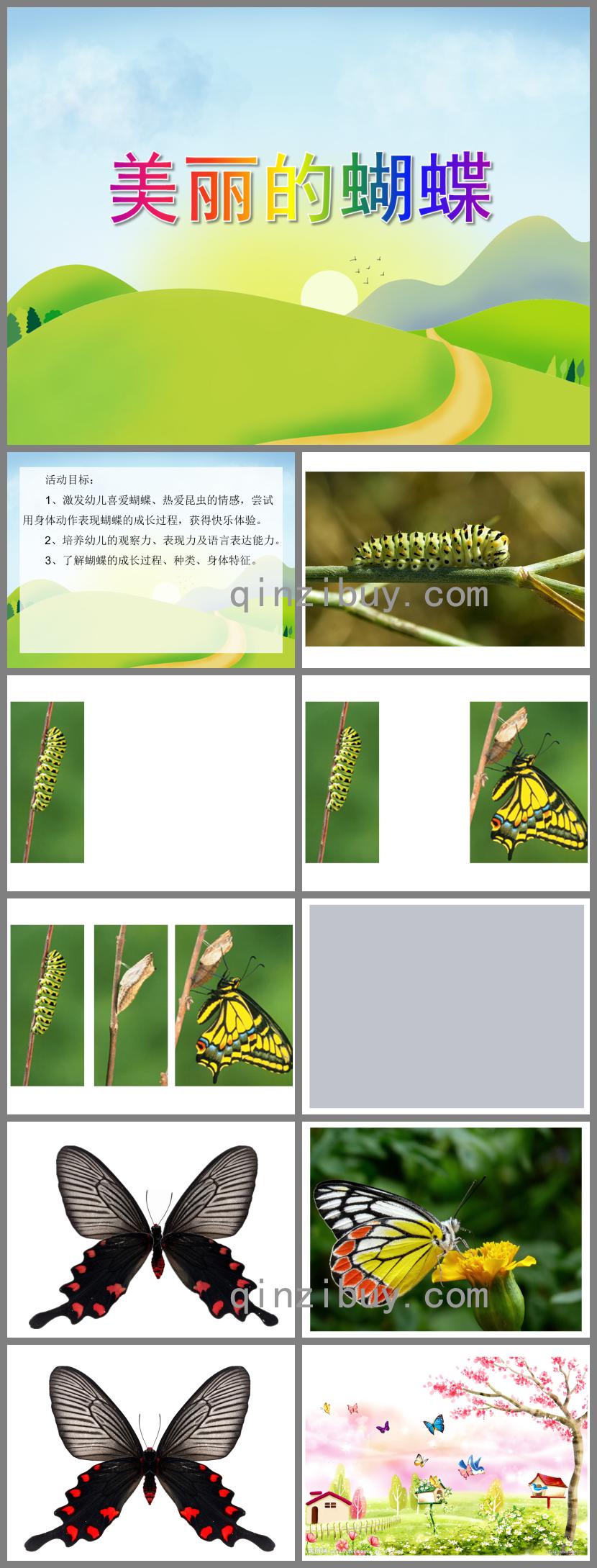 小班科學活動美麗的蝴蝶PPT課件