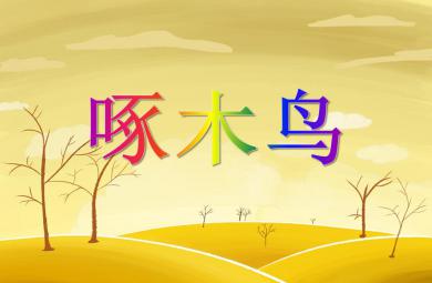 大班社會活動啄木鳥PPT課件