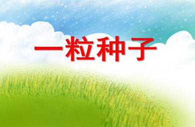 大班語言一粒種子PPT課件