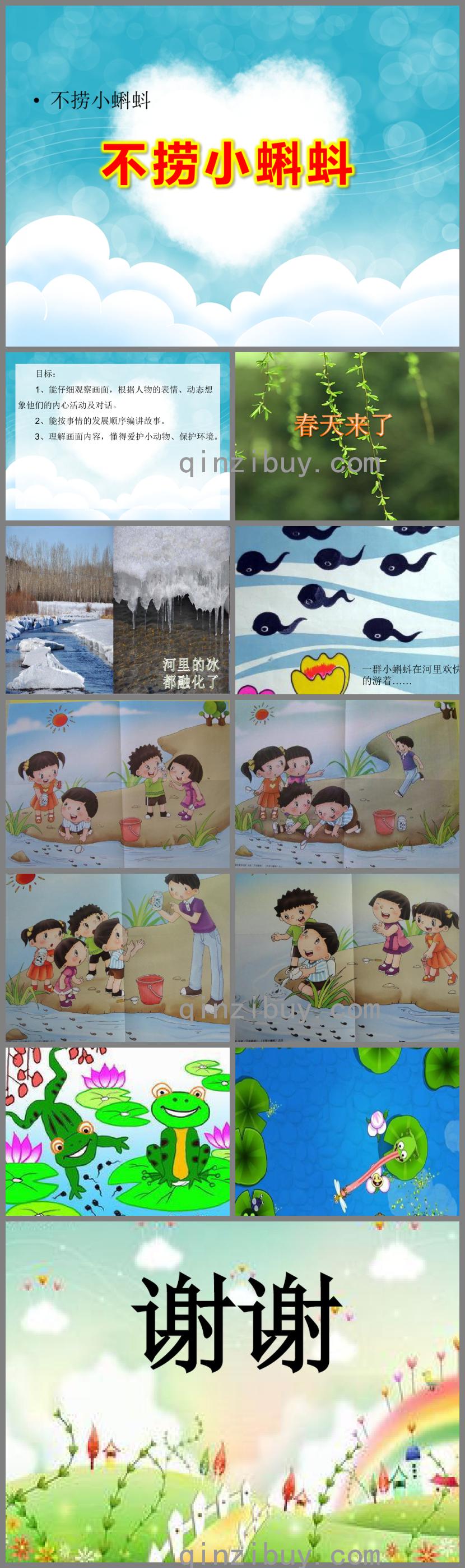 大班語言不撈小蝌蚪PPT課件