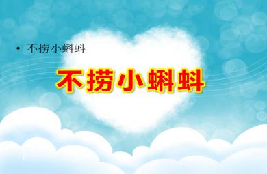 大班語言活動不撈小蝌蚪PPT課件