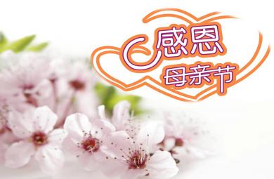 大班社會感恩母親節PPT課件