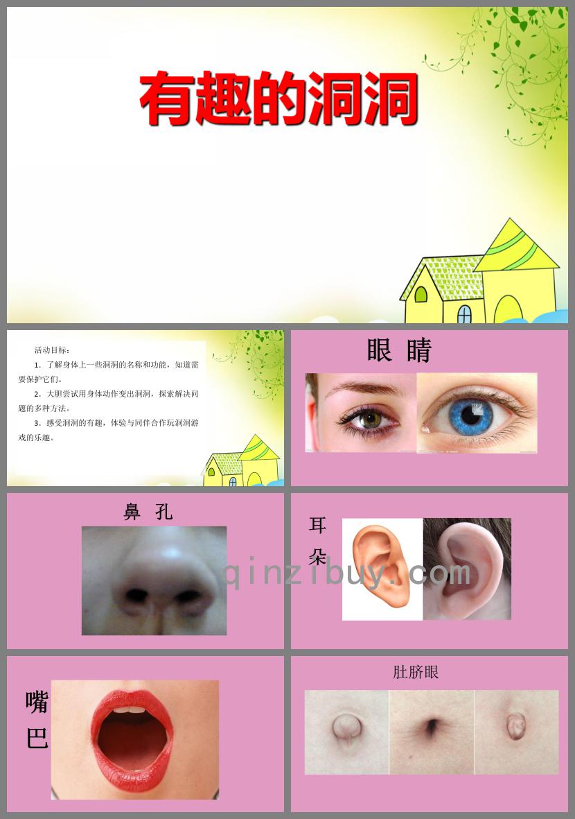 中班科學有趣的洞洞PPT課件