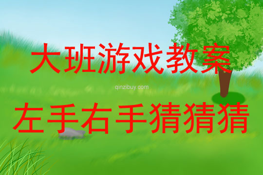 大班游戲左手右手猜猜猜教案反思