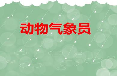 大班科學活動動物氣象員PPT課件