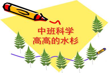中班科學高高的水杉PPT課件