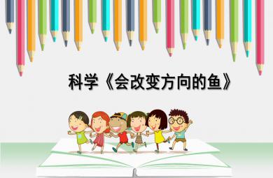 小班科學會改變方向的魚PPT課件