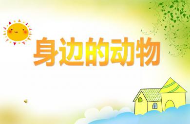 中班科學身邊的動物PPT課件