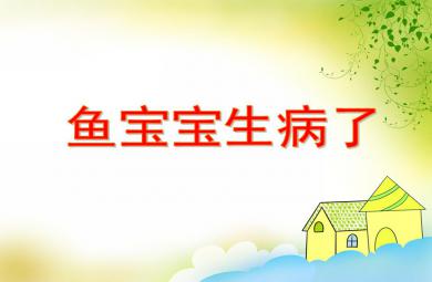 大班科學活動魚寶寶生病了PPT課件