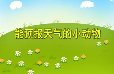大班科學活動能預報天氣的小動物PPT課件