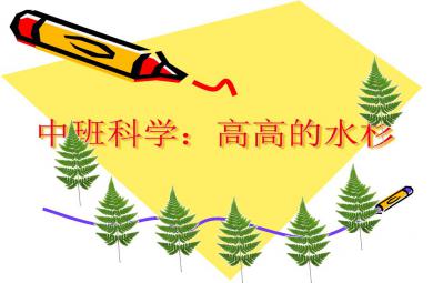 中班科學活動高高的水杉PPT課件