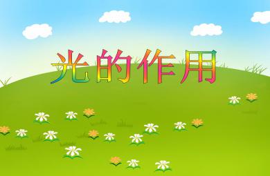 大班科學光的作用PPT課件