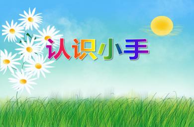 小班健康教育識認小手PPT課件