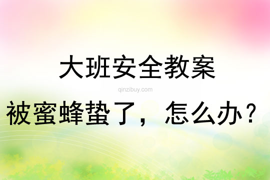 大班下學期安全教育被蜜蜂蟄了，怎么辦？教案反思