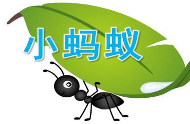 中班美術小螞蟻PPT課件