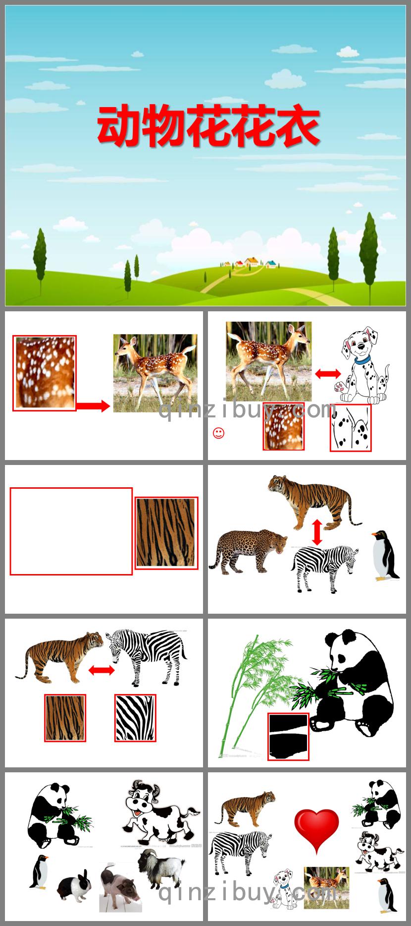 小班科學(xué)優(yōu)質(zhì)課動物花花衣PPT課件
