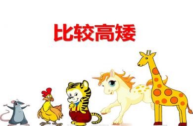 小班科學比較高矮PPT課件