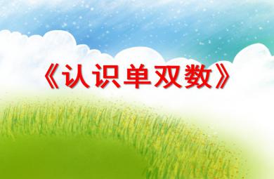 大班數(shù)學計算認識單雙數(shù)PPT課件
