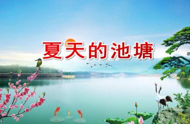 大班數(shù)學夏天的池塘PPT課件