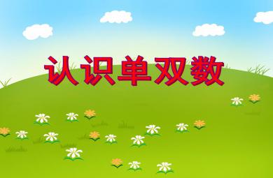 中班數(shù)學(xué)活動(dòng)認(rèn)識(shí)單雙數(shù)PPT課件