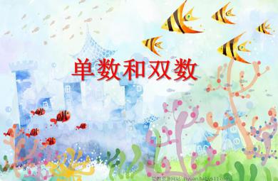 大班數學單數和雙數PPT課件