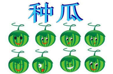 中班音樂活動種瓜PPT課件