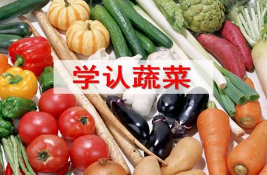 小班科學學認蔬菜PPT課件