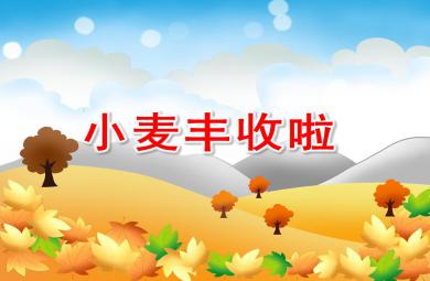 大班社會小麥豐收啦PPT課件