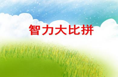 大班數(shù)學(xué)活動智力大比拼PPT課件