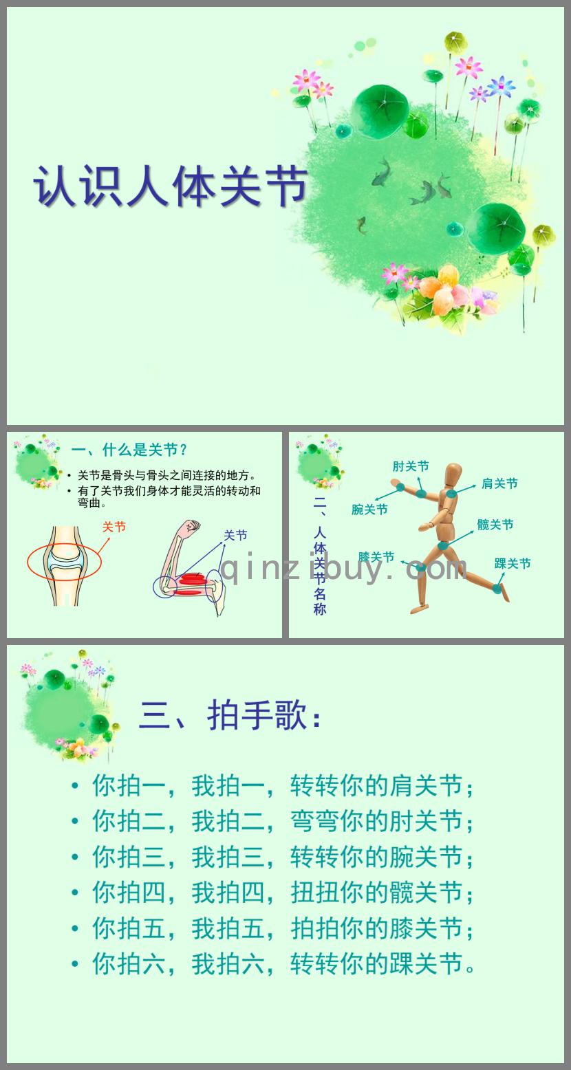 大班健康認識人體關節(jié)PPT課件