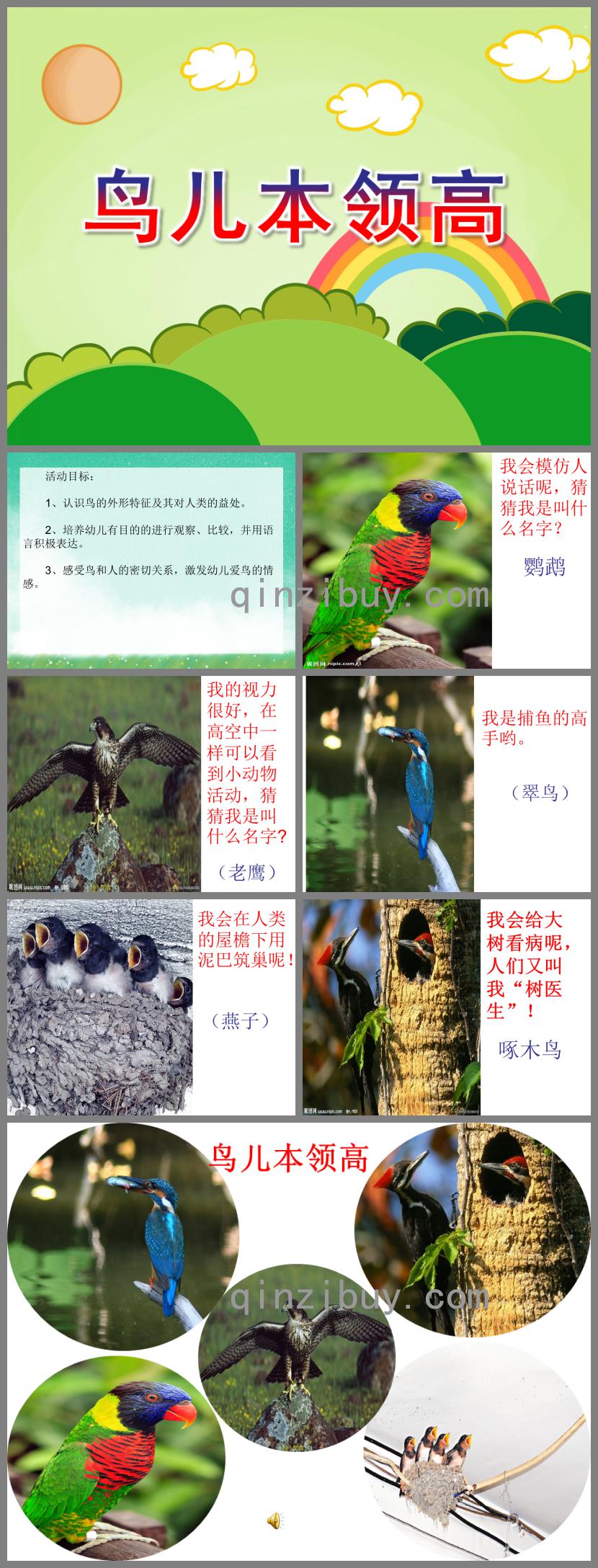 中班科學活動鳥兒本領高PPT課件