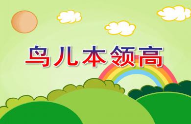 中班科學活動鳥兒本領高PPT課件