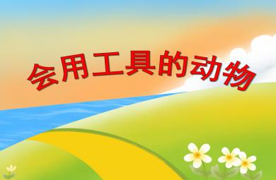 中班科學會使用工具的動物PPT課件