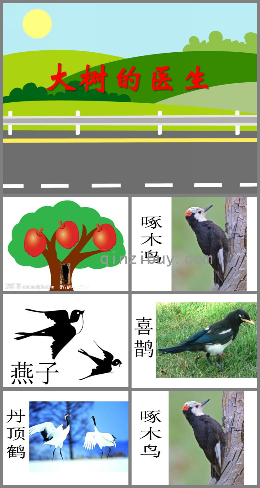 大班社會活動大樹的醫生PPT課件