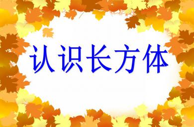 大班數(shù)學(xué)認(rèn)識(shí)長(zhǎng)方體PPT課件