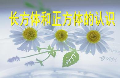 大班數(shù)學(xué)長(zhǎng)方體和正方體的認(rèn)識(shí)PPT課件