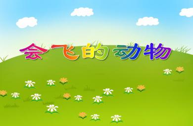 小班科學活動會飛的動物PPT課件