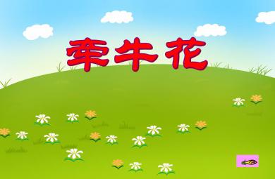 大班音樂牽牛花PPT課件