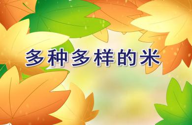 大班科學活動多種多樣的米PPT課件