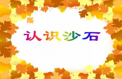 中班科學活動認識沙石PPT課件