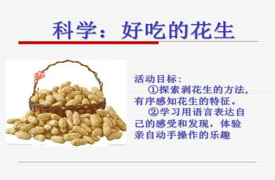 中班科學好吃的花生PPT課件