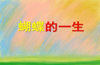 大班科學(xué)公開課好朋友PPT課件