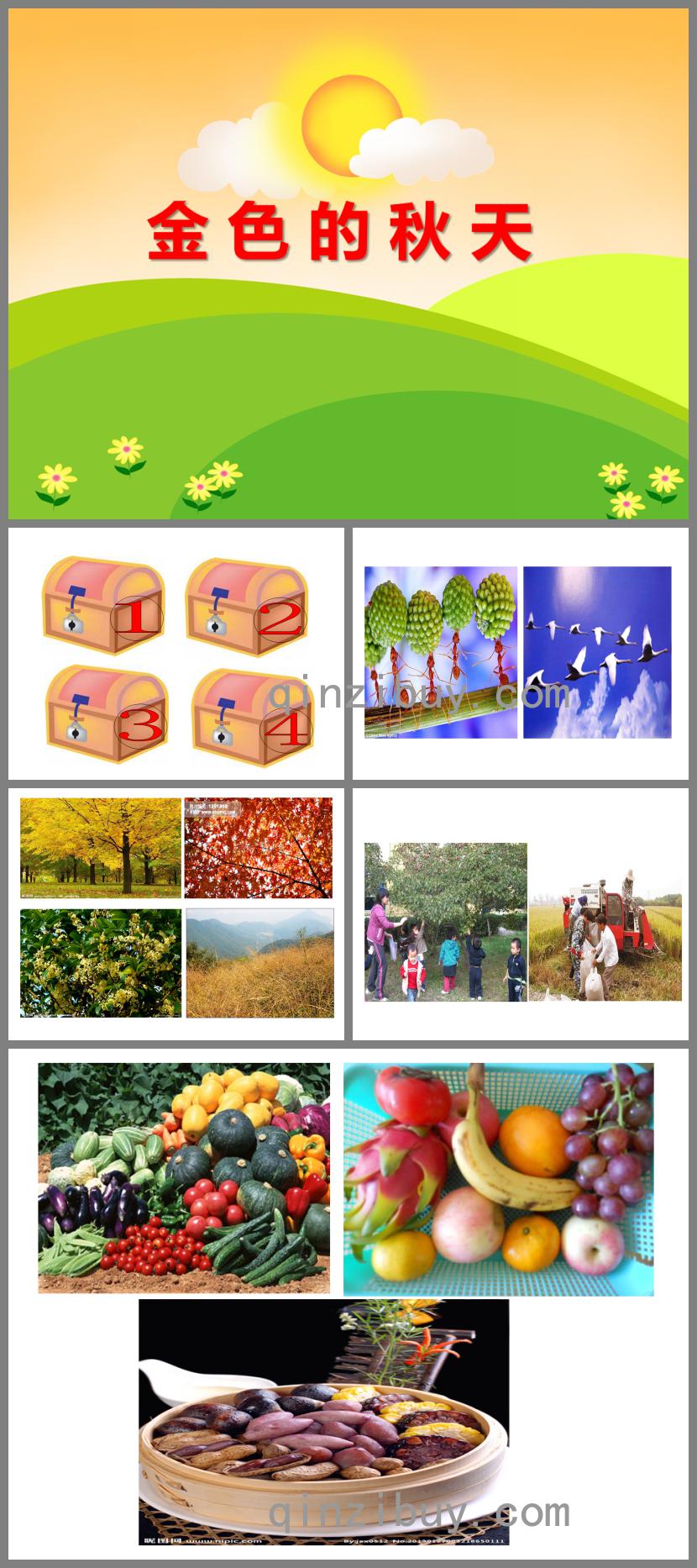 大班語言金色的秋天PPT課件
