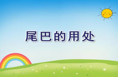 中班語言尾巴的用處PPT課件