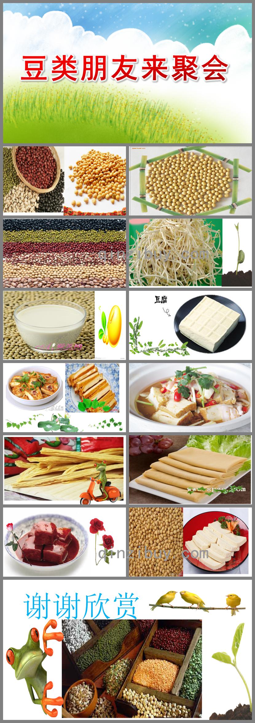 大班健康豆類朋友來聚會PPT課件