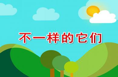 大班科學(xué)活動不一樣的它們PPT課件