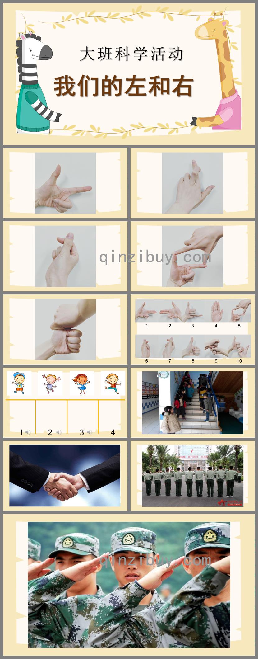 大班科學我們的左和右PPT課件