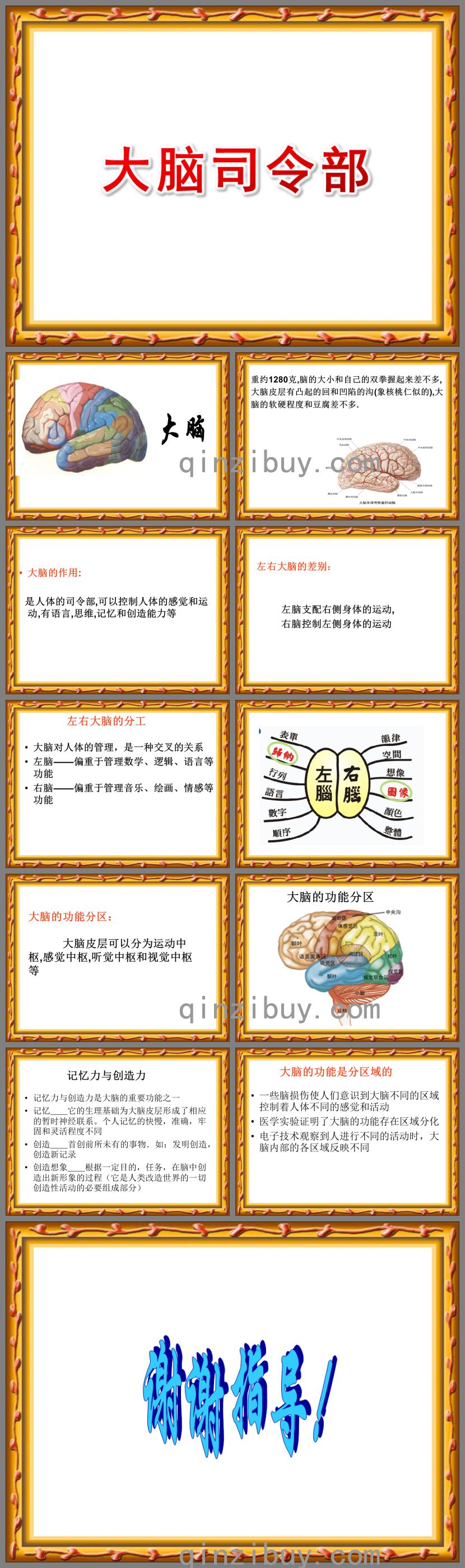 大班健康大腦總司令PPT課件