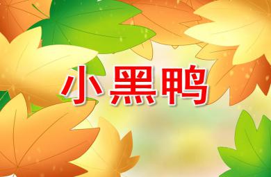 大班語言小黑鴨PPT課件