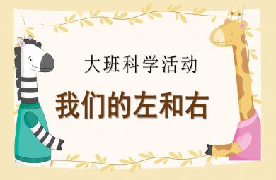 大班科學(xué)我們的左和右PPT課件
